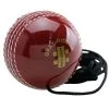 Gray Nicolls Batting Master Ball